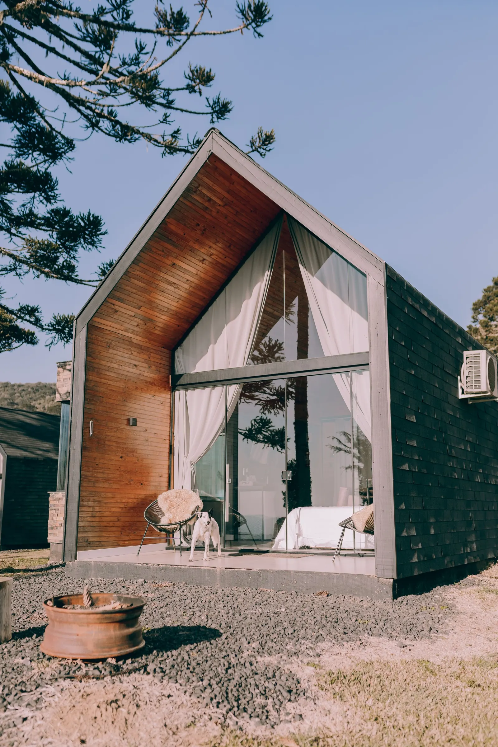 A modern glass-and-timber house in a forest