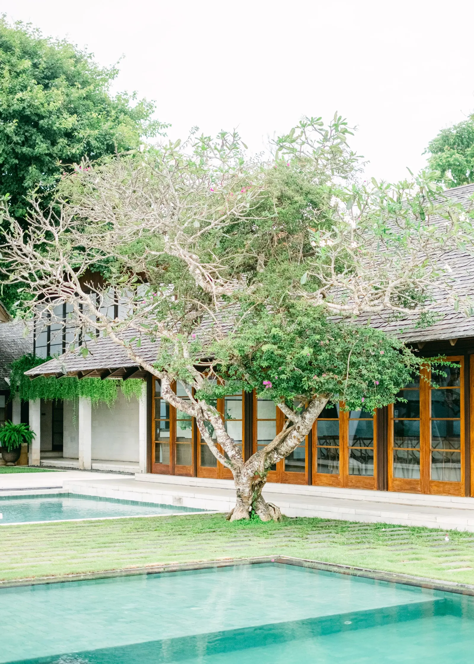 A shaded courtyard with a pool and floor-to-ceiling glass